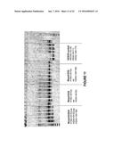 ANTISENSE OLIGONUCLEOTIDES FOR INDUCING EXON SKIPPING AND METHODS OF USE     THEREOF diagram and image