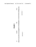 ANTISENSE OLIGONUCLEOTIDES FOR INDUCING EXON SKIPPING AND METHODS OF USE     THEREOF diagram and image