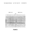 ANTISENSE OLIGONUCLEOTIDES FOR INDUCING EXON SKIPPING AND METHODS OF USE     THEREOF diagram and image