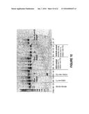 ANTISENSE OLIGONUCLEOTIDES FOR INDUCING EXON SKIPPING AND METHODS OF USE     THEREOF diagram and image