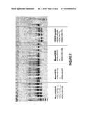 ANTISENSE OLIGONUCLEOTIDES FOR INDUCING EXON SKIPPING AND METHODS OF USE     THEREOF diagram and image