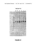 ANTISENSE OLIGONUCLEOTIDES FOR INDUCING EXON SKIPPING AND METHODS OF USE     THEREOF diagram and image