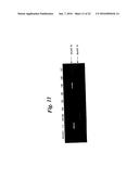 ENA NUCLEIC ACID PHARMACEUTICALS CAPABLE OF MODIFYING SPLICING OF mRNA     PRECURSORS diagram and image