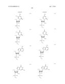 ENA NUCLEIC ACID PHARMACEUTICALS CAPABLE OF MODIFYING SPLICING OF mRNA     PRECURSORS diagram and image