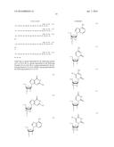 ENA NUCLEIC ACID PHARMACEUTICALS CAPABLE OF MODIFYING SPLICING OF mRNA     PRECURSORS diagram and image