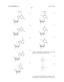 ENA NUCLEIC ACID PHARMACEUTICALS CAPABLE OF MODIFYING SPLICING OF mRNA     PRECURSORS diagram and image