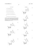 ENA NUCLEIC ACID PHARMACEUTICALS CAPABLE OF MODIFYING SPLICING OF mRNA     PRECURSORS diagram and image