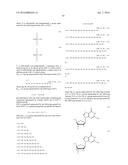 ENA NUCLEIC ACID PHARMACEUTICALS CAPABLE OF MODIFYING SPLICING OF mRNA     PRECURSORS diagram and image