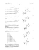 ENA NUCLEIC ACID PHARMACEUTICALS CAPABLE OF MODIFYING SPLICING OF mRNA     PRECURSORS diagram and image