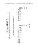 MULTIPLE EXON SKIPPING COMPOSITIONS FOR DMD diagram and image