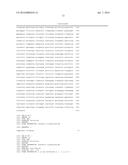 RNAi-MEDIATED INHIBITION OF CONNEXIN 43 FOR TREATMENT OF IOP-RELATED     CONDITIONS diagram and image