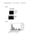 NUCLEIC ACIDS INVOLVED IN VIRAL INFECTION diagram and image