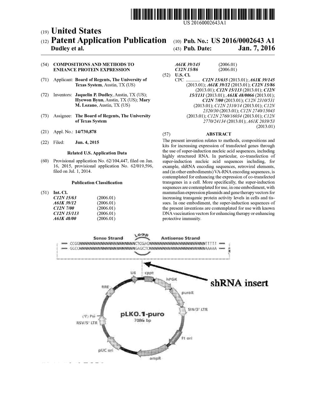 Compositions And Methods To Enhance Protein Expression - diagram, schematic, and image 01