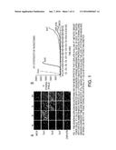 PSEUDOMONAS EXOTOXINS FOR CANCER TREATMENT diagram and image