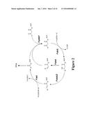 ACP-MEDIATED PRODUCTION OF FATTY ACID DERIVATIVES diagram and image