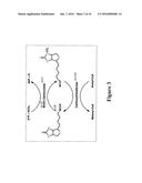 ACP-MEDIATED PRODUCTION OF FATTY ACID DERIVATIVES diagram and image