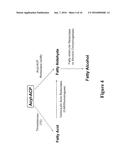 ACP-MEDIATED PRODUCTION OF FATTY ACID DERIVATIVES diagram and image