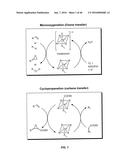 IN VIVO AND IN VITRO OLEFIN CYCLOPROPANATION CATALYZED BY HEME ENZYMES diagram and image