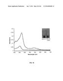 IN VIVO AND IN VITRO OLEFIN CYCLOPROPANATION CATALYZED BY HEME ENZYMES diagram and image