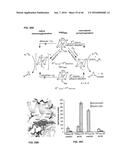 IN VIVO AND IN VITRO OLEFIN CYCLOPROPANATION CATALYZED BY HEME ENZYMES diagram and image