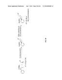 IN VIVO AND IN VITRO OLEFIN CYCLOPROPANATION CATALYZED BY HEME ENZYMES diagram and image