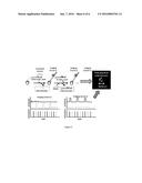 MUTLIPLEXED IN SITU MOLECULAR ANALYSES AND PROGRAMMABLE MOLECULAR PROBES     FOR REGULATED AMPLIFICATION diagram and image