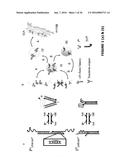 METHODS OF MULTIPLEXING DNA SENSORS AND LOCALIZING DNA SENSOR diagram and image