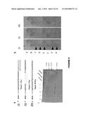 METHODS OF MULTIPLEXING DNA SENSORS AND LOCALIZING DNA SENSOR diagram and image