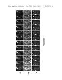 METHODS OF MULTIPLEXING DNA SENSORS AND LOCALIZING DNA SENSOR diagram and image