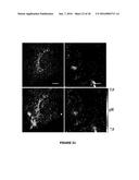 METHODS OF MULTIPLEXING DNA SENSORS AND LOCALIZING DNA SENSOR diagram and image