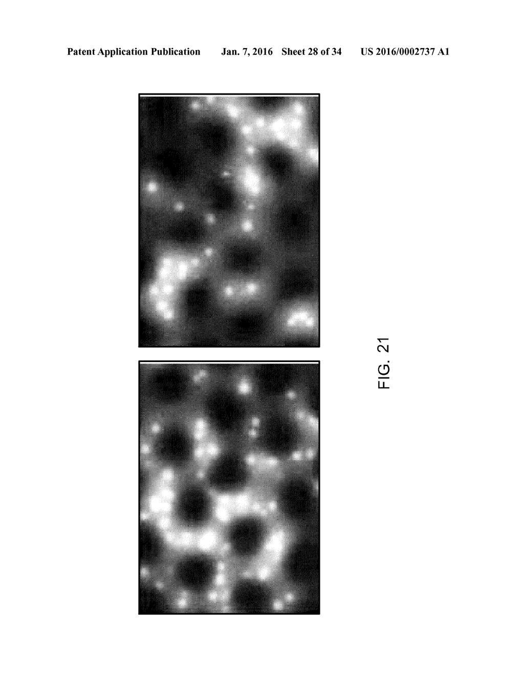 Analysis of Rare Cell-Enriched Samples - diagram, schematic, and image 29