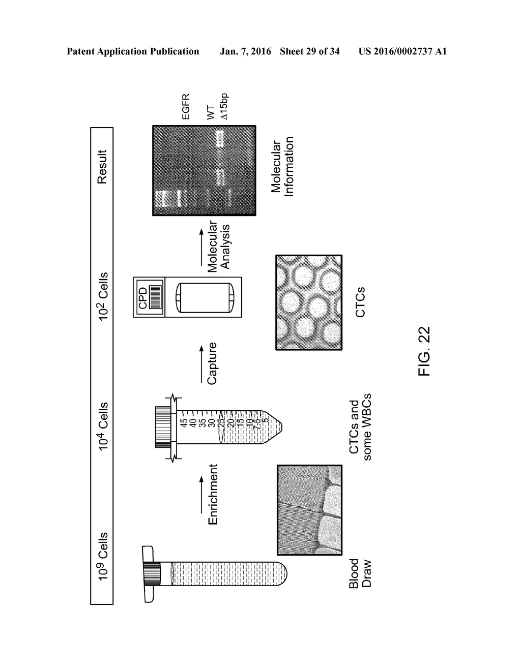 Analysis of Rare Cell-Enriched Samples - diagram, schematic, and image 30