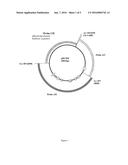 Maize event HCEM485, compositions and methods for detecting and use     thereof diagram and image