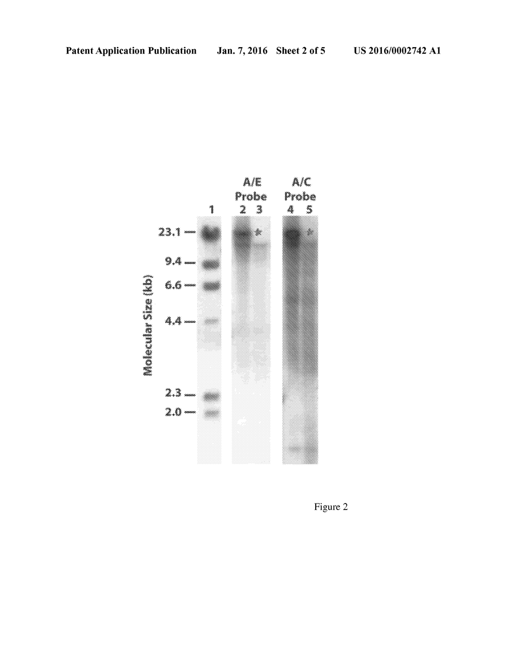 Maize event HCEM485, compositions and methods for detecting and use     thereof - diagram, schematic, and image 03