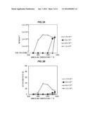 METHOD FOR CONTROLLING DONOR CONCENTRATION IN Ga2O3 SINGLE CRYSTAL BODY,     AND METHOD FOR FORMING OHMIC CONTACT diagram and image