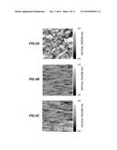 METHOD FOR CONTROLLING DONOR CONCENTRATION IN Ga2O3 SINGLE CRYSTAL BODY,     AND METHOD FOR FORMING OHMIC CONTACT diagram and image