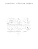 LONG WAVE INFRARED IMAGING POLARIMETER, AND METHOD OF ASSEMBLY diagram and image