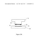 Laser Capture Microdissection (LCM) Extraction Device and Device Carrier,     and Method for Post-LCM Fluid Processing diagram and image