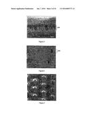 DEVICE AND METHOD FOR THE DETECTION OF TARGET ENTITIES diagram and image