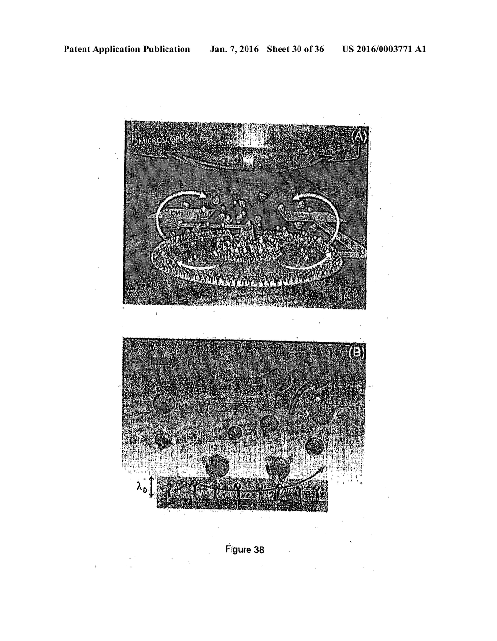 DEVICE AND METHOD FOR THE DETECTION OF TARGET ENTITIES - diagram, schematic, and image 31