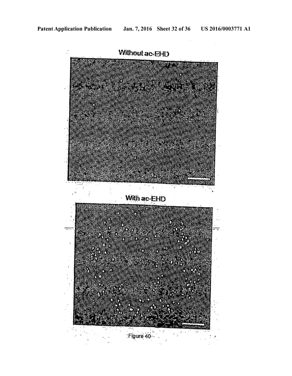 DEVICE AND METHOD FOR THE DETECTION OF TARGET ENTITIES - diagram, schematic, and image 33