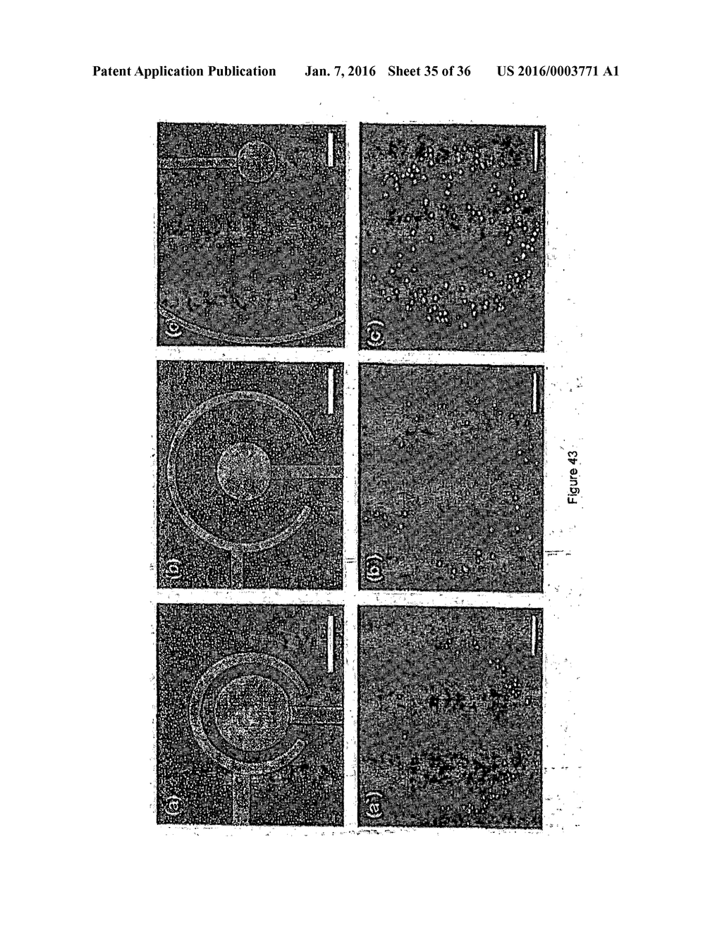 DEVICE AND METHOD FOR THE DETECTION OF TARGET ENTITIES - diagram, schematic, and image 36