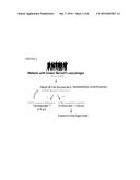 METHOD AND APPARATUS OF AIDING DETECTION OF  SURFACE ABNORMALITY IN THE     OESOPHAGUS diagram and image