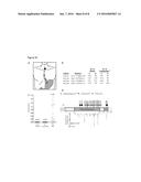 METHOD AND APPARATUS OF AIDING DETECTION OF  SURFACE ABNORMALITY IN THE     OESOPHAGUS diagram and image