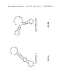 APTAMERS AND USES THEREOF diagram and image