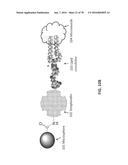 APTAMERS AND USES THEREOF diagram and image