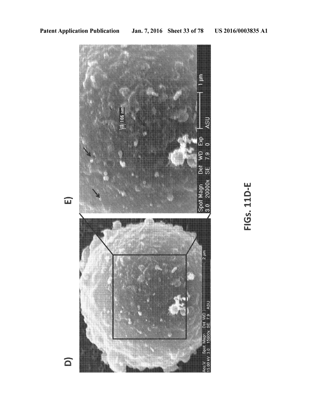 APTAMERS AND USES THEREOF - diagram, schematic, and image 34