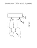 APTAMERS AND USES THEREOF diagram and image