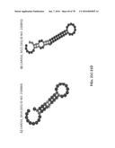 APTAMERS AND USES THEREOF diagram and image