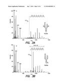 GLYCOPEPTIDE IDENTIFICATION diagram and image